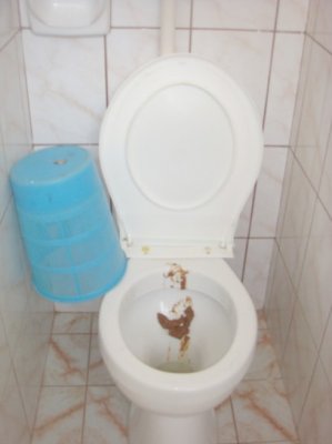 Toaletele şcolilor din Constanţa sunt pline de rahat